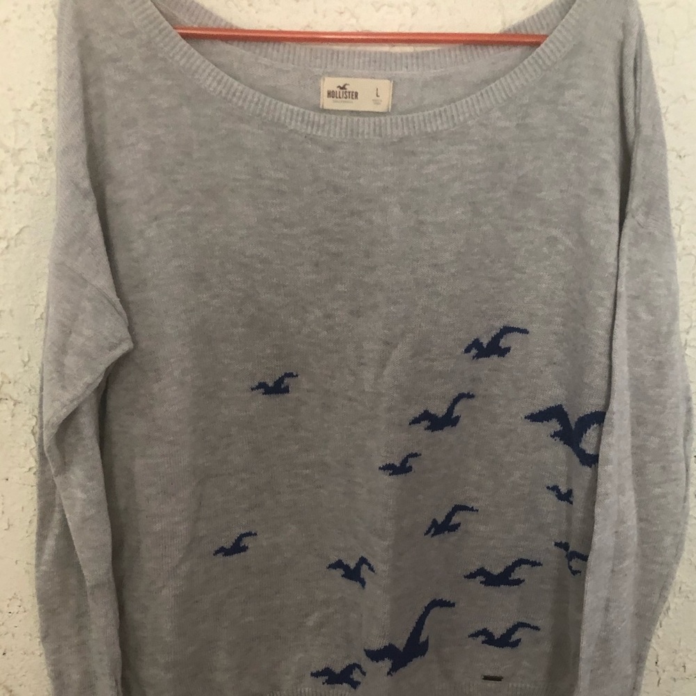 Hollister sweater